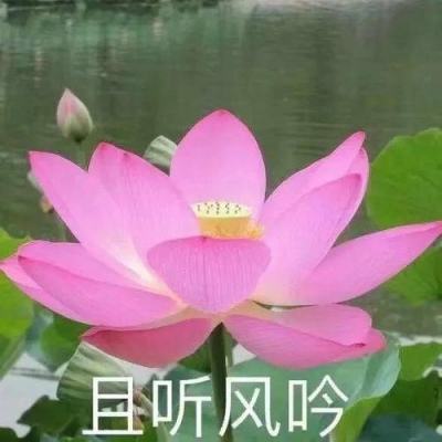 福建莆田报告24例核酸阳性 初判为德尔塔毒株